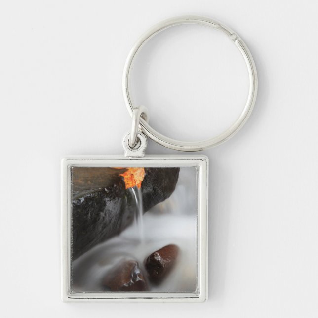 Llavero EE.UU., Oregón, desfiladero del río Columbia, Tann (Frente)