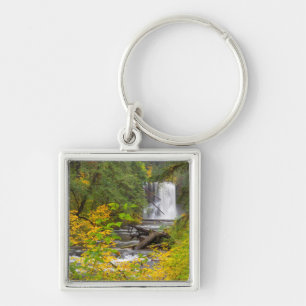 Llavero EE.UU., Oregón, Parque Estatal Silver Falls 2