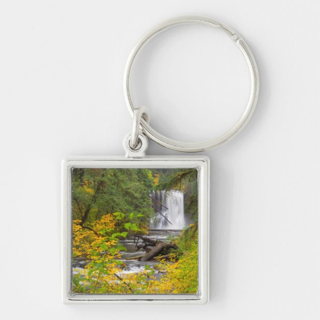 Llavero EE.UU., Oregón, Parque Estatal Silver Falls 2 (Frente)