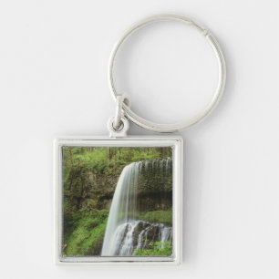 Llavero EE.UU., Oregón, Parque Estatal Silver Falls. Infer