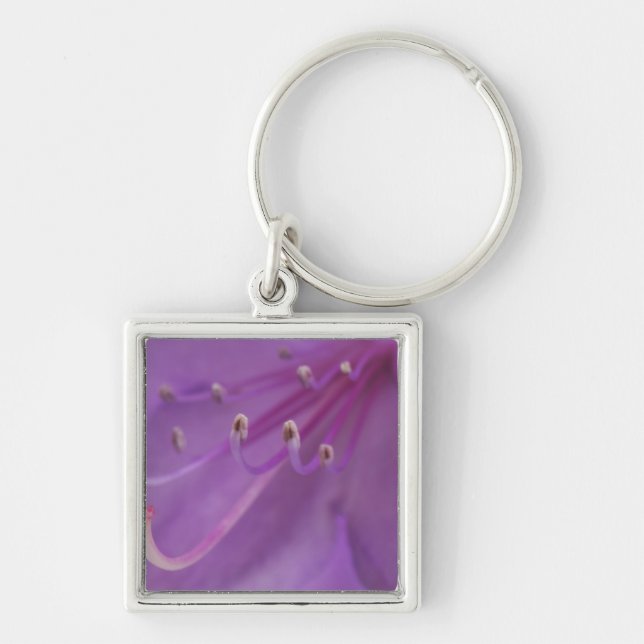 Llavero EE.UU., Oregón, Portland. Cierre de un (Frente)