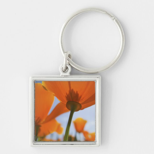 Llavero EE. UU., Oregón, Valle de Willamette, Primer plano (Frente)