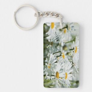 Llavero EE.UU., Oregón, Valle Willamette, Selectivo