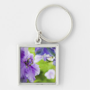 Llavero EE.UU., Oregón, Willamette Valley, Larkspur Close