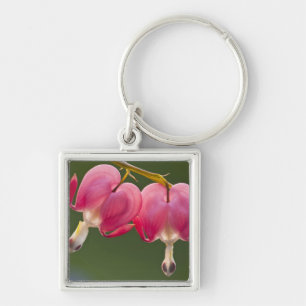 Llavero EE.UU., Pennsylvania. Cierre de dos hemorragias