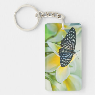 Llavero EE. UU., Pensilvania. Mariposa cola de golondrina