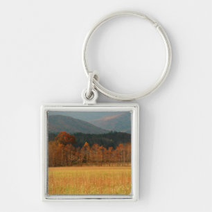 Llavero EE. UU., Tennessee. Cades Cove en Smoky Mountain