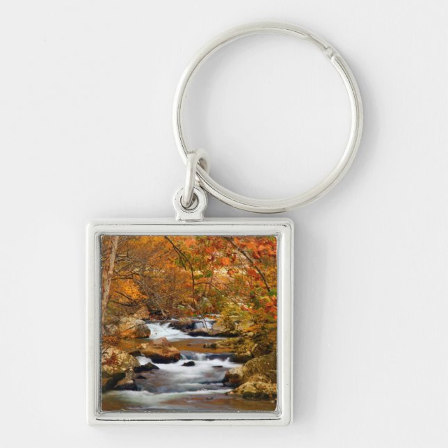 Llavero EE. UU., Tennessee. Rushing Mountain Creek (Frente)