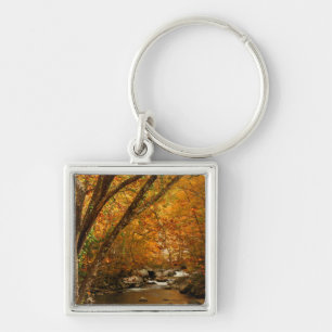 Llavero EE. UU., Tennessee. Rushing Mountain Creek 3