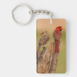 Llavero EE. UU., Texas, condado de Hidalgo. Pareja de card