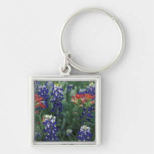 Llavero EE. UU., Texas Hill Country. Bluebonnets y