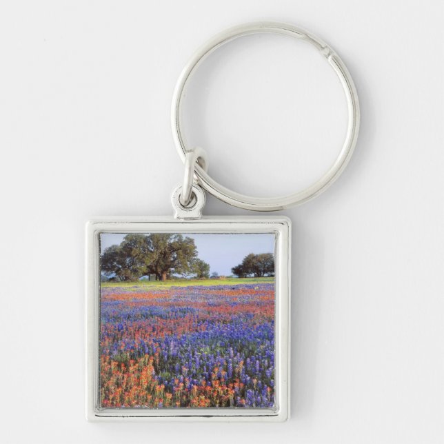 Llavero EE. UU., Texas, Llano. Bluebonnets y redbonnets (Frente)