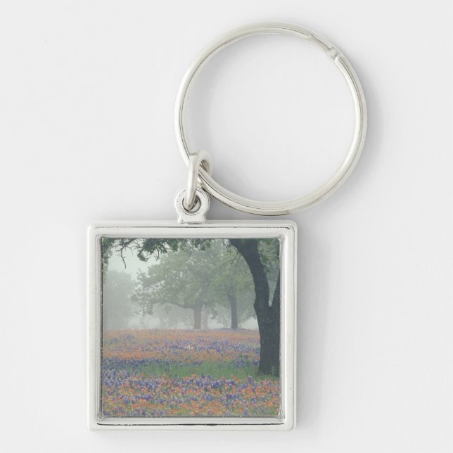 Llavero EE. UU., Texas. Pincel de Texas y bluebonnets (Frente)