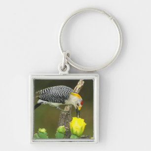 Llavero EE.UU., Texas, Rio Grande Valley, McAllen. Hombre