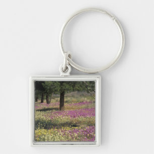 Llavero EE.UU., Texas, Sand Verbena y ojos marrones