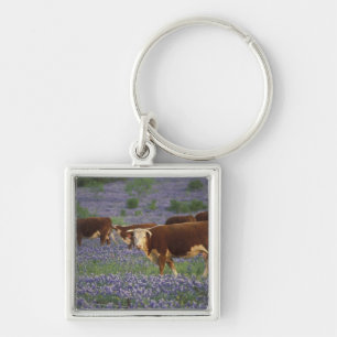 Llavero EE. UU., Texas, Texas Hill Country, Hereford