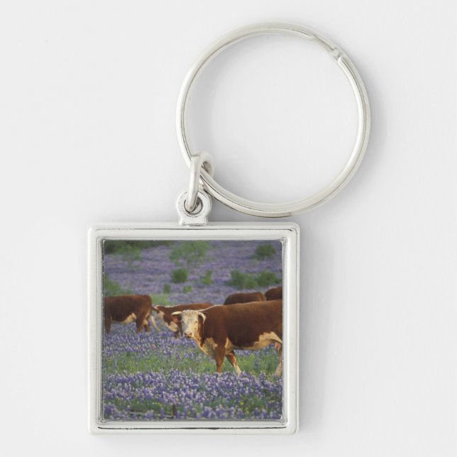 Llavero EE. UU., Texas, Texas Hill Country, Hereford (Frente)