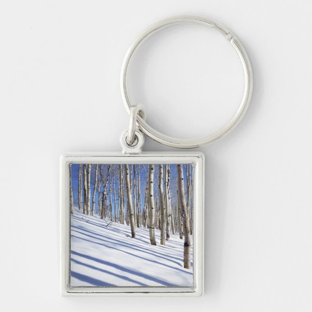 Llavero EE.UU., Utah, Bosque Nacional Dixie, Aspen Grove (Frente)