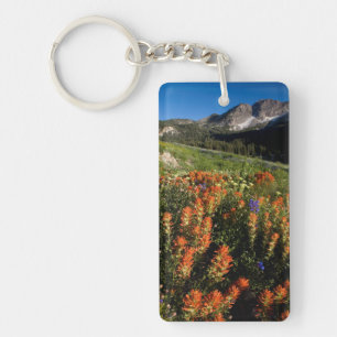 Llavero EE. UU., Utah, Bosque Nacional Uinta-Wasatch-Cache