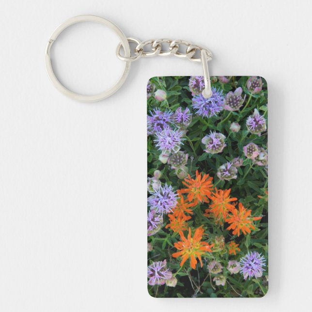 Llavero EE.UU., Utah, Bosque Nacional Uinta-Wasatch Cache  (Frente)