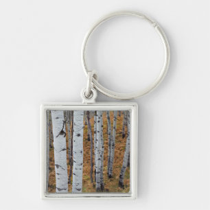 Llavero EE. UU., Utah, Bosque Nacional Uinta-Wasatch-Cache