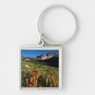 Llavero EE. UU., Utah, Bosque Nacional Uinta-Wasatch-Cache