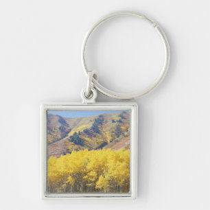 Llavero EE. UU., Utah, Bosque Nacional Wasatch-Cache,