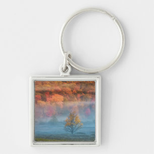 Llavero EE.UU., Virginia Occidental, Davis. Valle y valle 