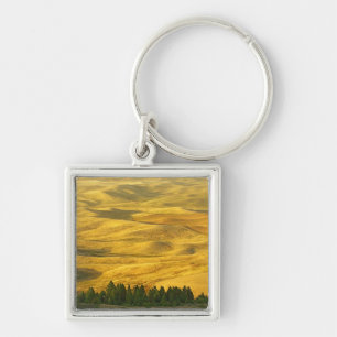 Llavero EE. UU., Washington, Condado de Whitman, Palouse,