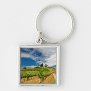 Llavero EE. UU., Washington, Lago Chelan. Viñedo 3