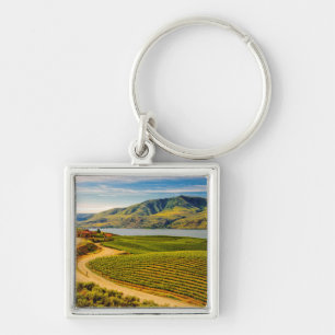 Llavero EE. UU., Washington, lago Chelan. Viñedos Benson