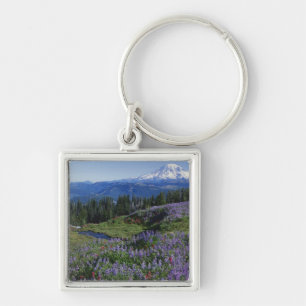 Llavero EE. UU., Washington Mt. Adams Wilderness, praderas