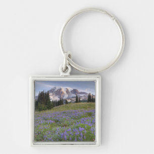 Llavero EE. UU., Washington, Mt. Rainier NP, Mt. Rainier y
