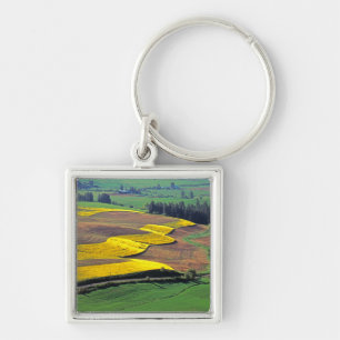 Llavero EE. UU., Washington, Palouse, Condado de Whitman 2