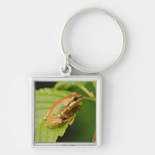 Llavero EE.UU., Washington, Seattle, Discovery Park