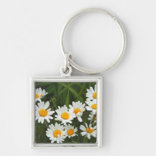 Llavero EE.UU., Washington, Seattle, Puget Sound 3