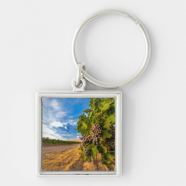 Llavero EE. UU., Washington, Valle de Yakima. Uvas Merlot (Frente)