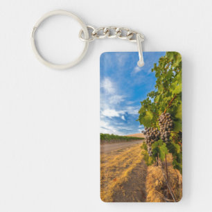 Llavero EE. UU., Washington, Valle de Yakima. Uvas Merlot