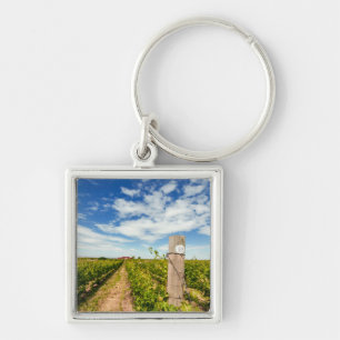 Llavero EE. UU., Washington, Walla Walla. Cabernet Sauvign