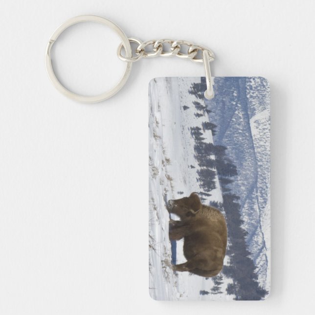 Llavero EE. UU., WY, Parque Nacional Yellowstone, Bisonte  (Frente)