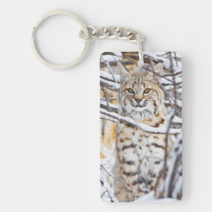 Llavero EE. UU., Wyoming, Bobcat