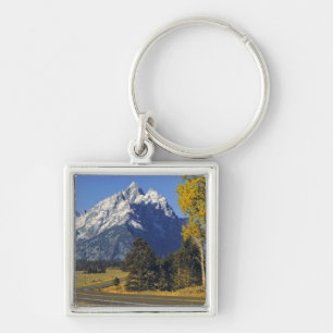 Llavero EE. UU., Wyoming, Parque Nacional Grand Teton. Car