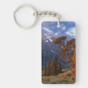 Llavero EE. UU., Wyoming, Parque Nacional Grand Teton. Un