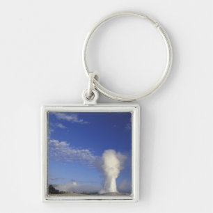 Llavero EE. UU., Wyoming. Parque Nacional Yellowstone. Vie