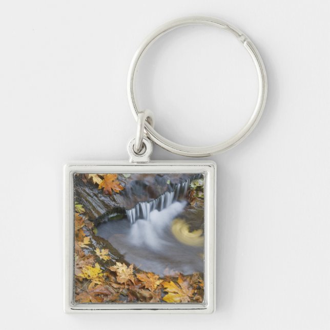 Llavero EEUU, Oregón, Creek dulce. Hojas de arce caídas (Frente)