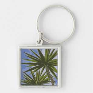 Llavero Efecto de pintura de hojas de palma de yuca tropic