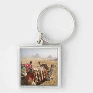 Llavero Egipto, El Cairo. Camellos descansando