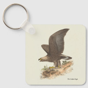 Llavero El águila dorada (Aquila chrysaetos) Imagen de páj