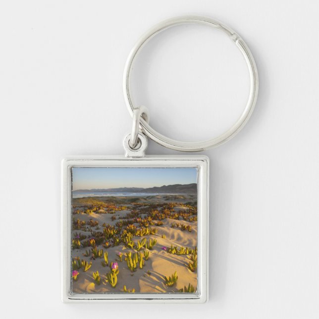 Llavero El amanecer ilumina las dunas de arena y la higuer (Frente)