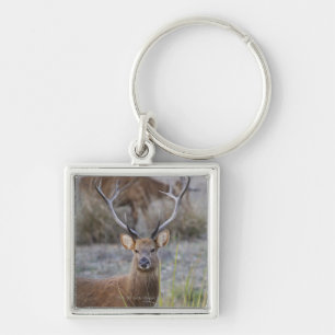Llavero El Barasingha o el Barasinga (Rucervus